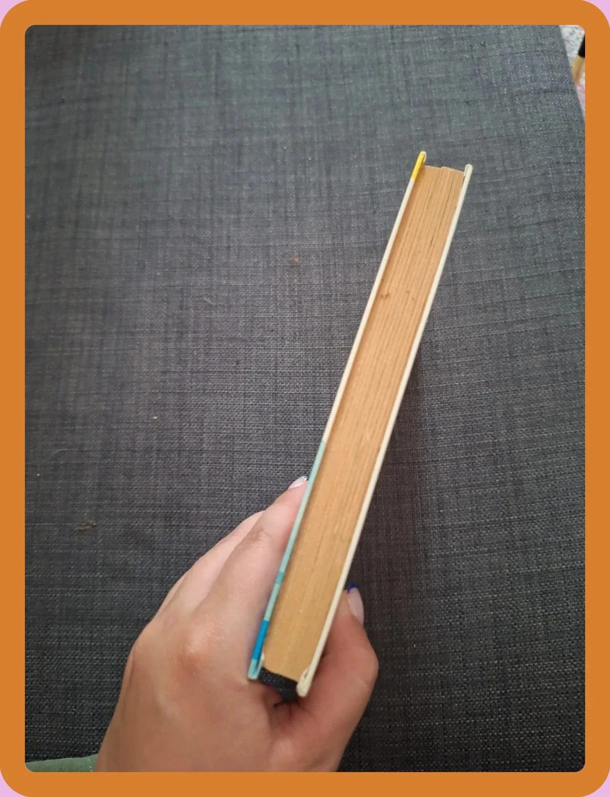 Livro O segredo dos bucaneiros Caroline Quine – photo 3